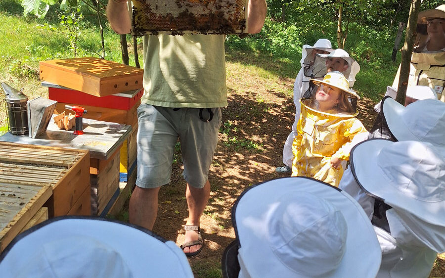 20250626_115137_1200