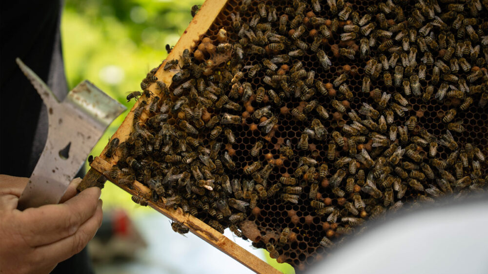 triedna_foto_9.tr_1200