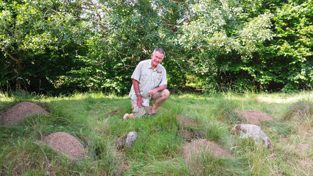 NigelMarven_DivokaPriroda_01_1200 NigelMarven_DivokaPriroda_01_1200