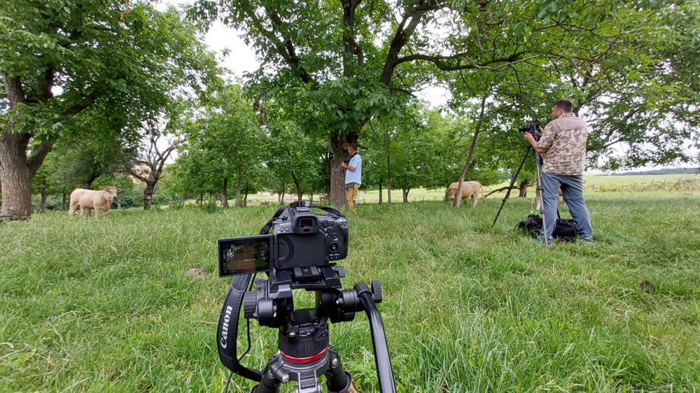 NigelMarven_DivokaPriroda_04_1200 NigelMarven_DivokaPriroda_04_1200