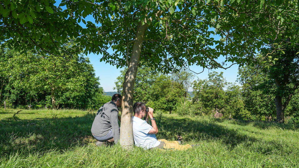 NigelMarven_DivokaPriroda_foto-1_1200 NigelMarven_DivokaPriroda_foto-1_1200