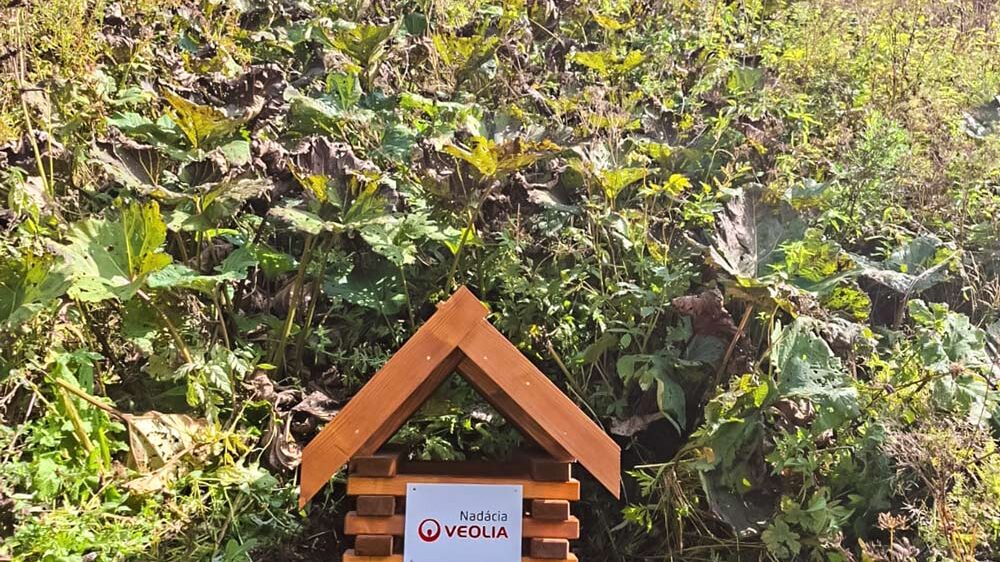 Nadacia-01_KST-Sp-Bystre_w1000